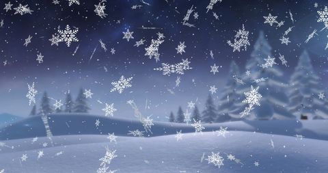 Snowfall in Tranquil Winter Landscape with Snowflakes and Trees