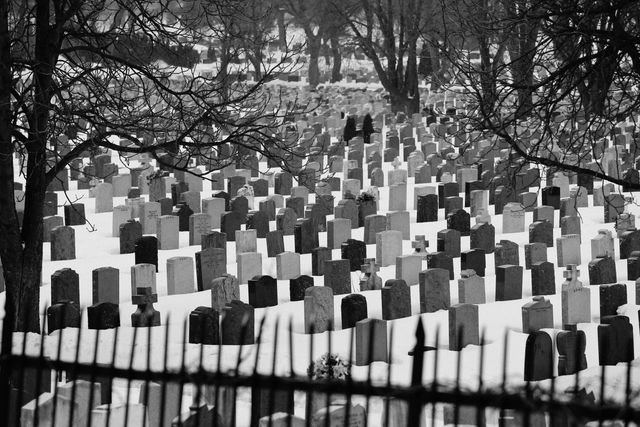 Snow Covered Cemetery with Rows of Tombstones - Download Free Stock Photos Pikwizard.com
