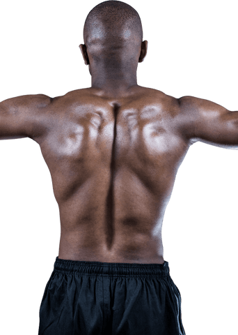 Transparent view of muscular athlete's back