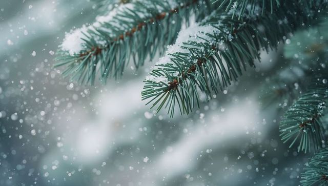 Snow-Dusted Evergreen Branch with Falling Snowflakes