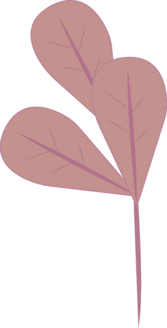 Stylized botanical branch with heart-shaped leaves on transparent background
