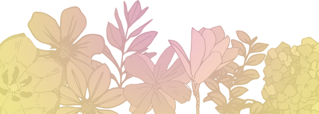 Beautiful Pink and Beige Floral Illustration on Transparent Background - Download Free Stock Videos Pikwizard.com