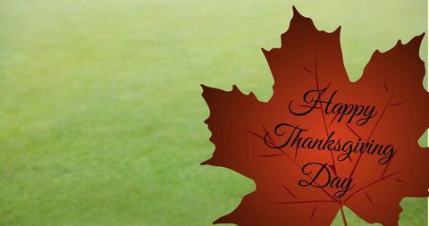 Thanksgiving Leaf Greeting with Green Background