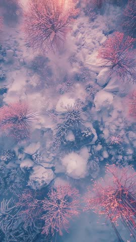 Drifting drone panning over frost-covered shrubs and snow mounds at pastel sunrise