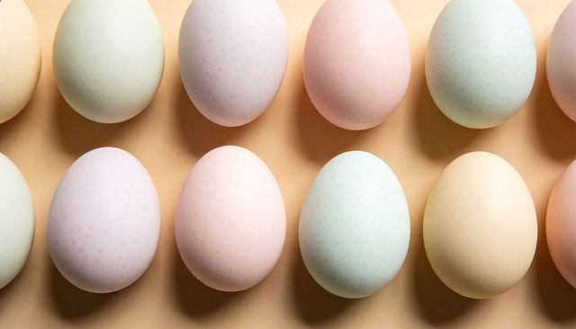 Pastel easter eggs arranging in neat dozen grid flatlay on beige background