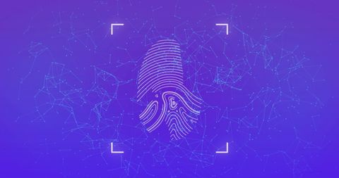 Biometric fingerprint scan with digital network connections