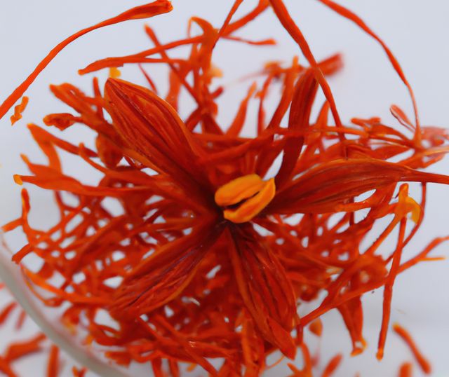 Close up of saffron with flower created using generative ai technology - Download Free Stock Photos Pikwizard.com