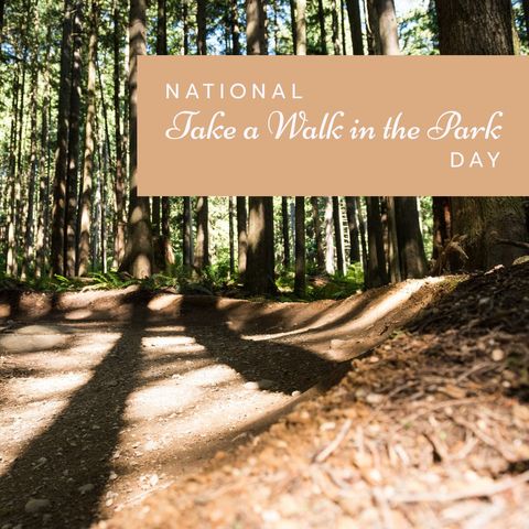 National Take a Walk in the Park Day Forest Pathway - Download Free Stock Templates Pikwizard.com
