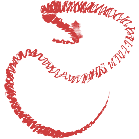 red twisted arrow on transparent background - Download Free Stock Videos Pikwizard.com