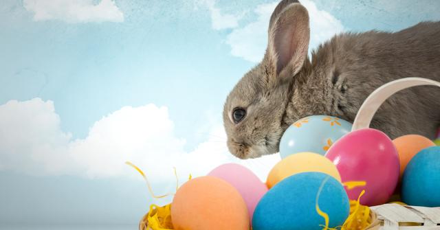 Digital composite of Easter rabbit with eggs in front of blue sky