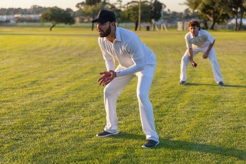 Sunlit cricket fielders crouching and preparing to catch ball on green outfield during golden hour