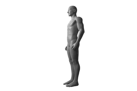transparent 3d male model wireframe side view illustration - Download Free Stock Videos Pikwizard.com