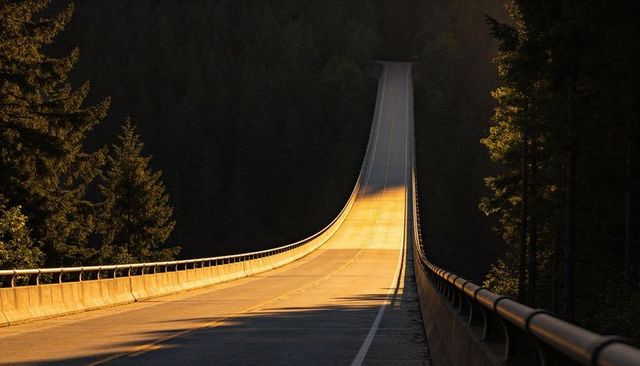 Golden-hour curved bridge rising through conifer forest, sunlit empty mountain road
