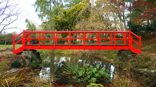 This scene of a red footbridge spanning over a calm stream surrounded by vibrant, lush vegetation captures the tranquility of a serene garden setting. Ideal for use in projects involving nature, relaxation, and outdoor environments. With its bright color, the footbridge draws attention and enhances any content related to tourism, gardening, landscape design, and peaceful retreats.