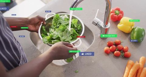 Washing fresh greens in modern kitchen with digital labels
