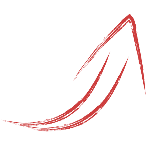 Red Arrow Graphic on Transparent Background for Direction Concepts - Download Free Stock Videos Pikwizard.com