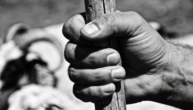 Gripping male hand on weathered wooden pole showing rough skin and calluses