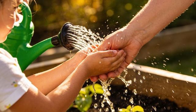 Adult guiding child catching water from green watering can in sunny backyard garden lesson