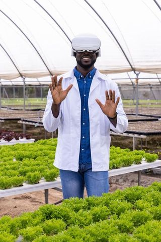 Virtual Reality in Hydroponic Farming Innovation and Sustainability