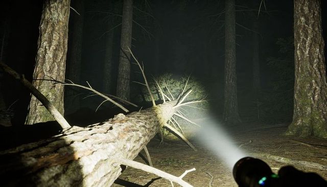 Flashlight illuminating fallen pine trunk and broken limbs in misty night forest