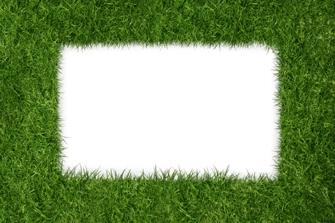 Green Lush Grass Frame on Transparent Background for Creative Designs - Download Free Stock Videos Pikwizard.com