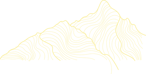 transparent topographic terrain line art with golden gradient - Download Free Stock Videos Pikwizard.com