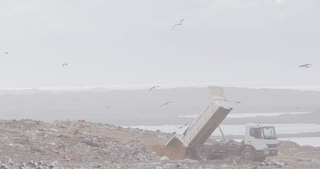 Garbage truck unloading waste at a landfill site with seagulls flying overhead. Useful for topics related to waste management, pollution, environmental issues, human impact on nature, industrial waste, recycling initiatives, and conservation efforts.