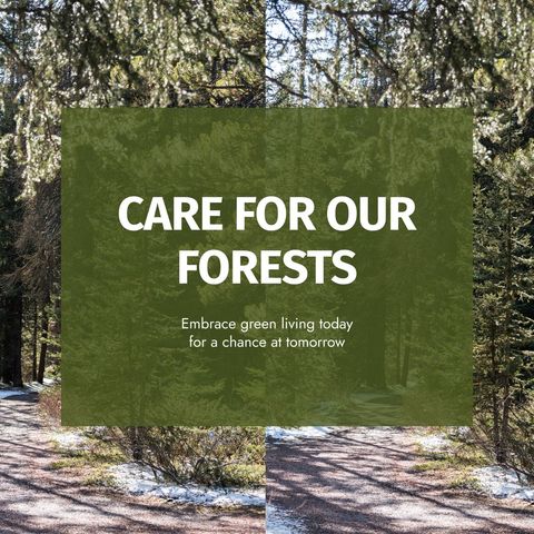 Care for Our Forests: Embracing Green Living for a Sustainable Tomorrow - Download Free Stock Templates Pikwizard.com