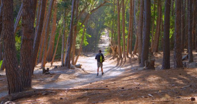 A person hiking alone down a well-worn forest trail lined with tall trees under a bright summer sky. Ideal for marketing materials related to outdoor activities, adventurous travel, promoting healthy lifestyles, or nature conservation efforts.