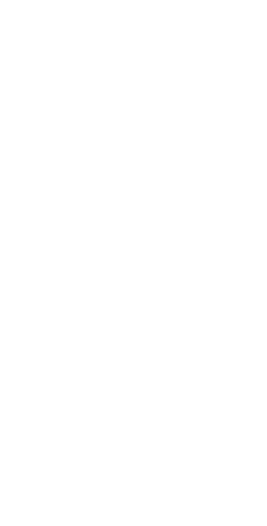 Digital Illustration of Woman Practicing Yoga on Transparent Background