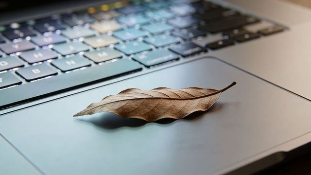 Dried leaf resting on laptop trackpad with soft shadow and blurred keyboard bokeh