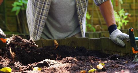 Middle-Aged Gardener Cultivating Soil in Backyard Garden