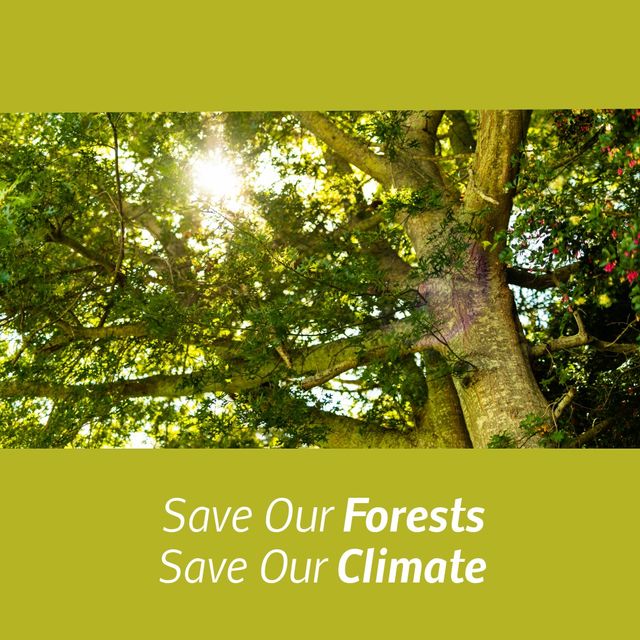Digital composite image of save our forests save our climate with trees, copy space. Raise awareness, responsible forest management, environment conservation, fsc friday, forest stewardship council.