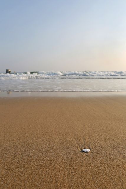 Lone white seashell resting on sandy beach while gentle waves roll in background. Horizon line is visible with calm, clear sky overhead. Ideal for travel, relaxation, nature themes, and promoting beach vacations or coastal living.