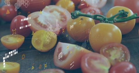 Fresh yellow cherry tomatoes with digital technology overlay