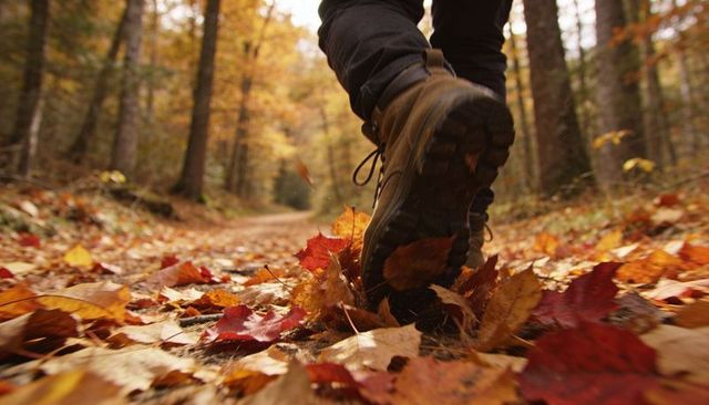 Autumn hiker stepping through leaf-covered forest trail closeup of rugged hiking boot