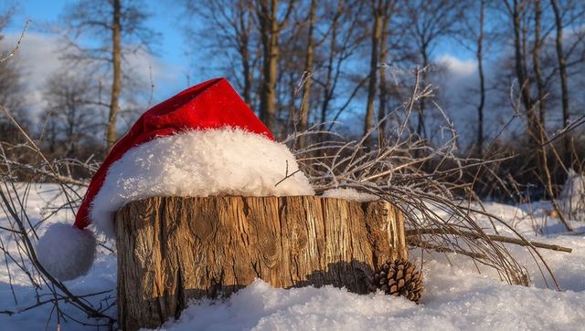 Santa Hat Resting on Frosted Tree Stump in Sunny Snow-Covered Winter Forest