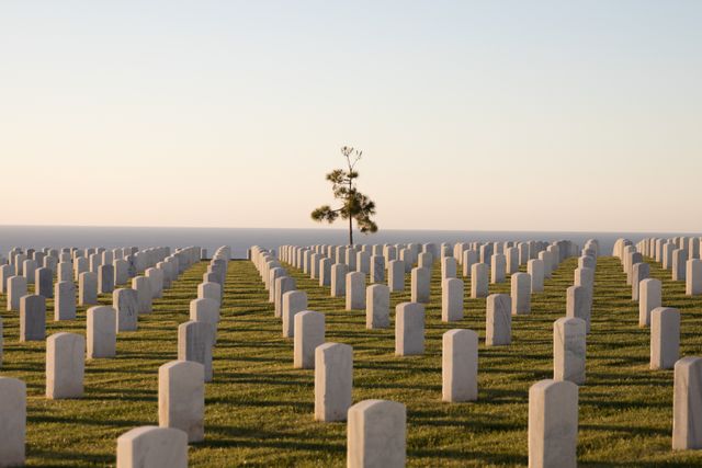 Numerous white headstones in military cemetery at sunset - Download Free Stock Photos Pikwizard.com