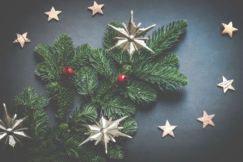 Christmas Evergreen with Stars and Red Berries on Dark Background