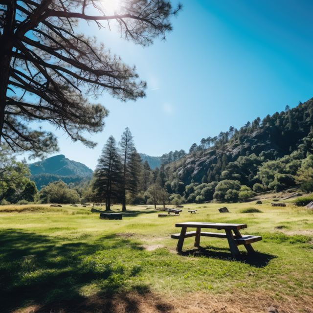 Landscape of national park with bench and trees, created using generative ai technology. National park, scenery and beauty in nature concept digitally generated image.