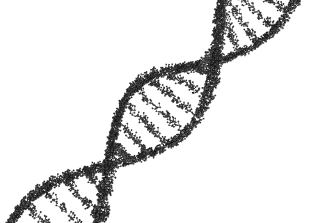 transparent vector of black dna strand structure isolated - Download Free Stock Videos Pikwizard.com