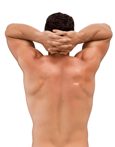 Caucasian Man Flexing Back Muscles on Transparent Background - Download Free Stock Videos Pikwizard.com