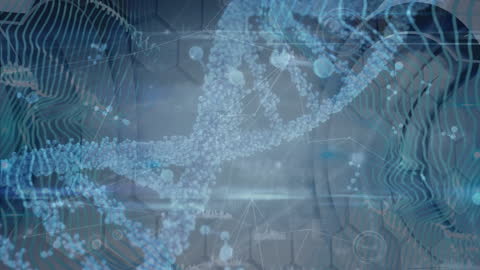 Abstract DNA Strand in Digital Network Environment