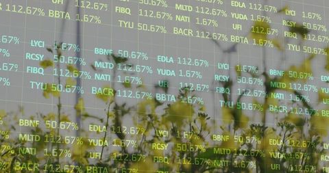 Technology and nature fusion: stock data over meadow imagery