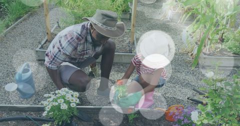 Man and Girl Together Planting in Community Garden