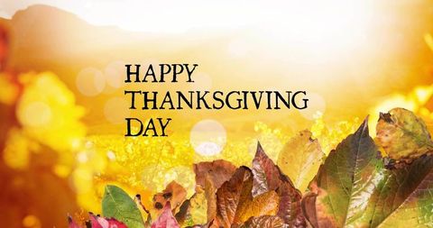Golden autumn thanksgiving greeting with sunlit leaves and bokeh
