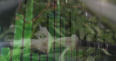 Grafted plant stem showing frayed tape and foliage with financial charts overlay