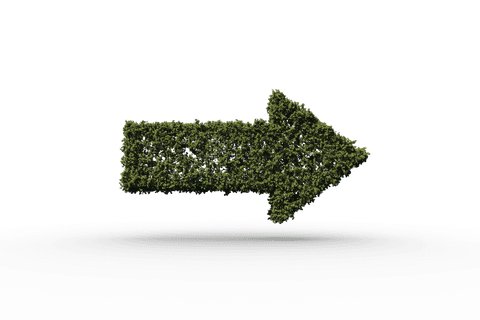 grass arrow indicating direction on transparent background - Download Free Stock Videos Pikwizard.com