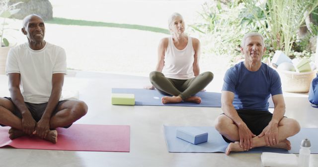 Diverse Group of Seniors Practicing Yoga at Home - Download Free Stock Images Pikwizard.com