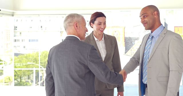 Business professionals shaking hands in meeting - Download Free Stock Images Pikwizard.com